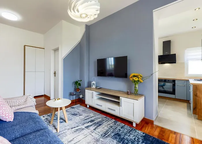 Roof דירה זאדאר